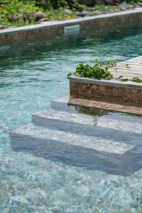 T3 Lumineux Avec Vue Exceptionnelle Et Piscine Oasis De Nature Et Serenite Petit-Canal Экстерьер фото